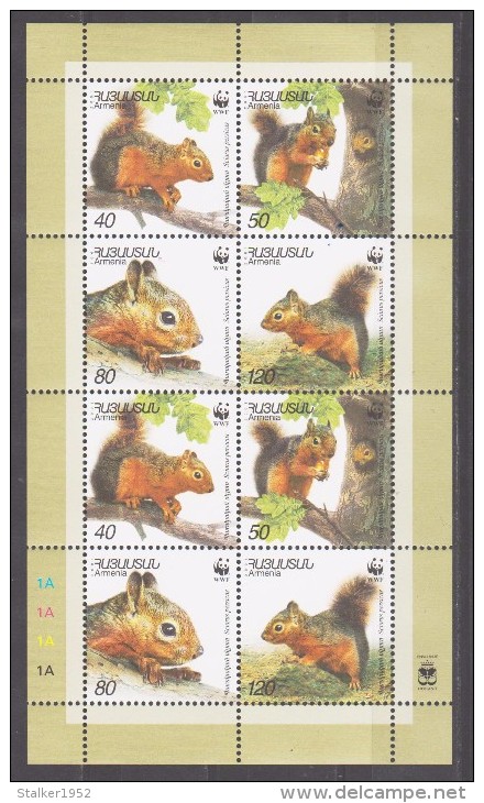 Armenia 2001 Armenien Mi 435-438klb WWF. Worldwide Conservation: Caucasian Squirrel **/MNH - Unused Stamps