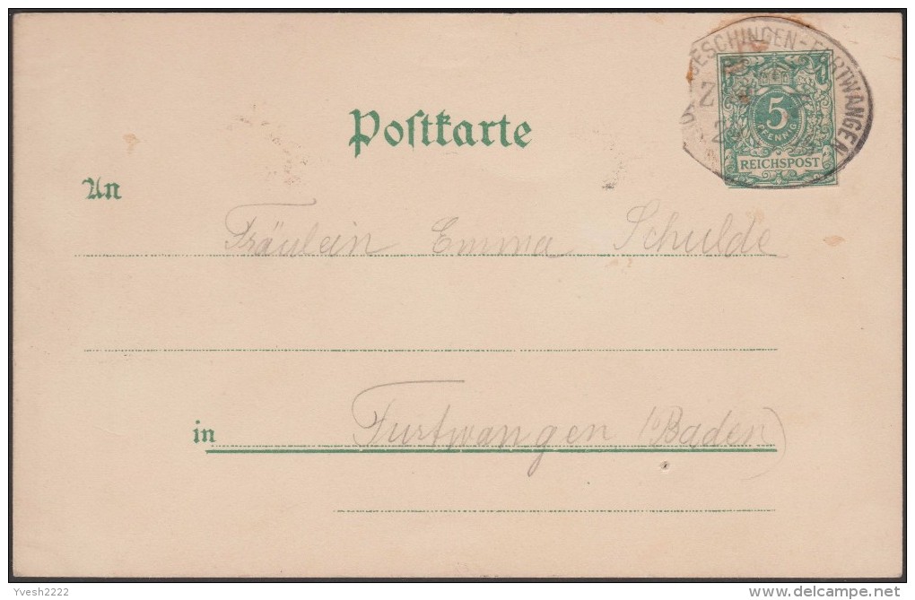 Allemagne 1896. Carte Postale Exposition De Berlin. Le Caire à Berlin - Burros Y Asnos