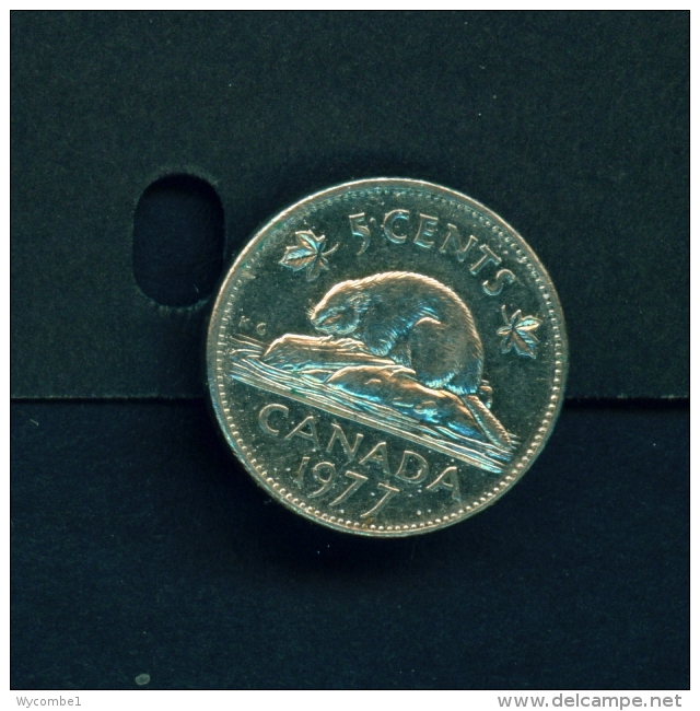 CANADA  -  1977  5c  Circulated Coin - Canada