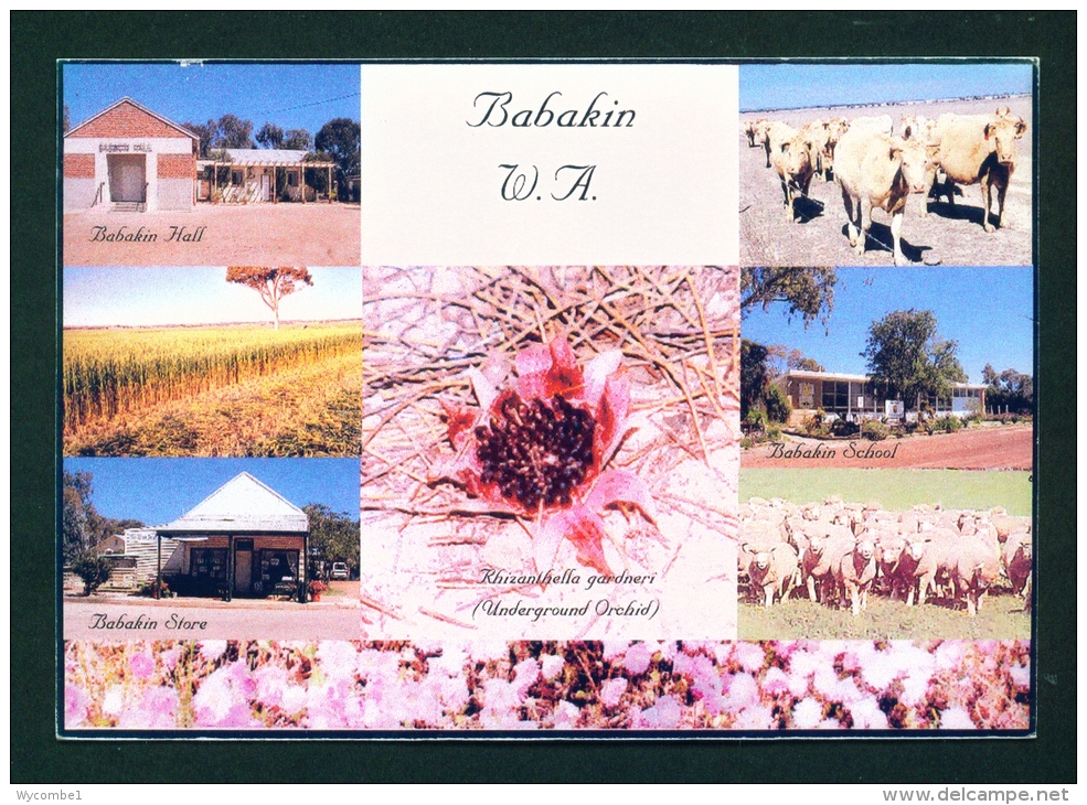 AUSTRALIA  -  Babakin  Multi View  Unused Postcard - Albany