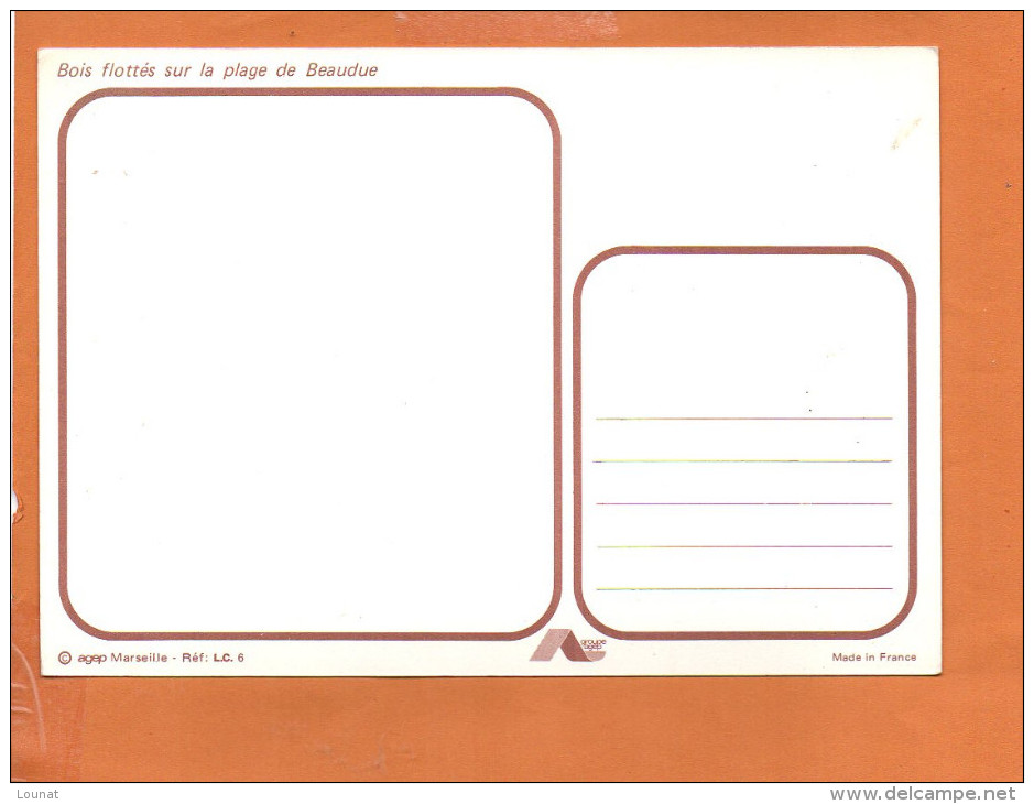 Illustrateur Photographe Agep Marseille - Bois Flotté Sur La Plage De Beauduc  éditions  (non écrite) - Autres & Non Classés
