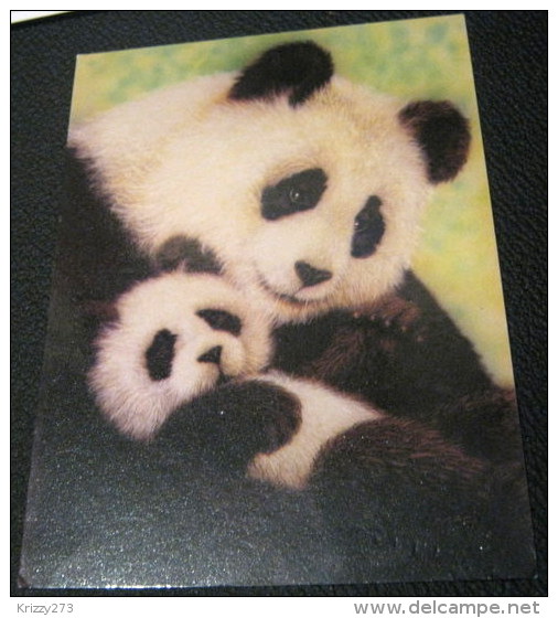 Pandas 9774 - Athena International - Unused - Ours