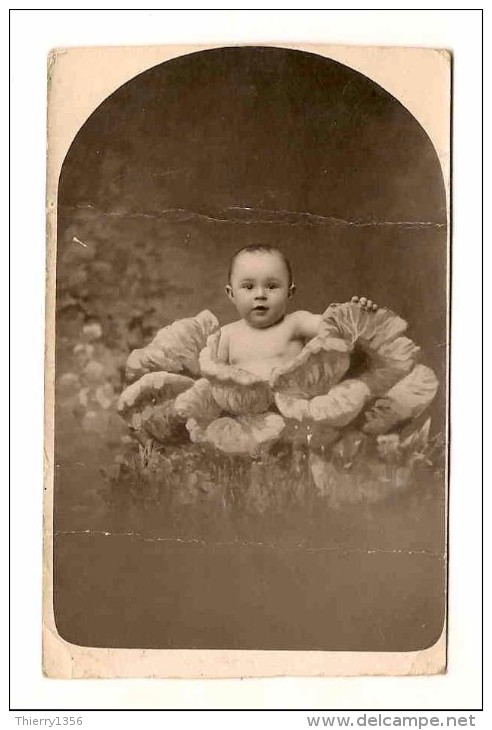 Photo   ENFANT DANS UN CHOU Felix Baudet Caen - Autres & Non Classés