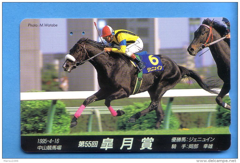 Japan Japon  Telefonkarte Télécarte Phonecard -  Animal Racing Pferd Cheval Horse - Pferde