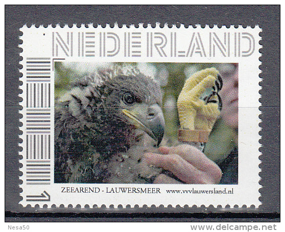 Nederland Persoonlijke Zegels Thema:  Zeearend, Sea Eagle - Unused Stamps