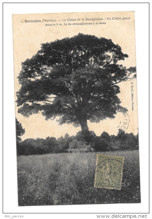 (7550-50) Barenton - Le Chêne De La Bourginière - Barenton
