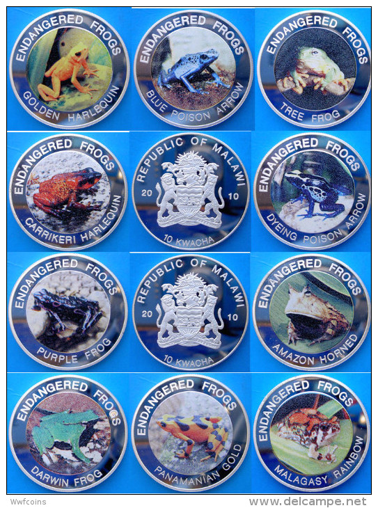 MALAWI 10X10 KWACHA 2010 PROOF SILVER PLATED RARE WILDLIFE DANGER FROG MINTAGE 1000 PCS UNC CONSERVAZIONE FONDO SPECCHIO - Malawi