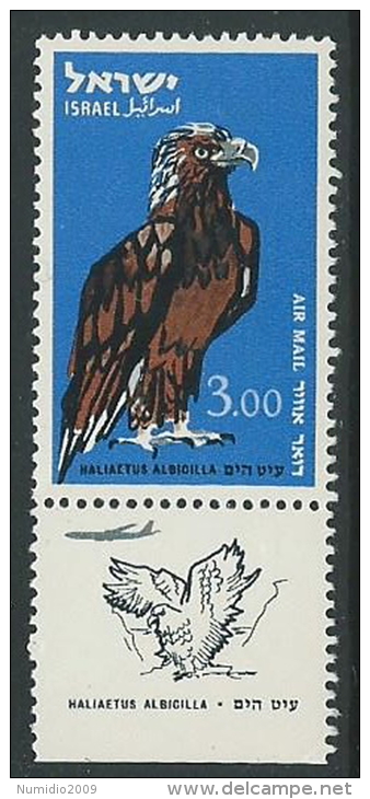 1963 ISRAELE POSTA AEREA UCCELLI 3 I CON APPENDICE MNH ** - T4 - Airmail