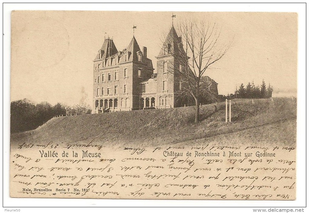 Château De RONCHINNE à Mont Sur Godinne-Vallée De La Meuse.Près Crupet.Cachet La Plante1907 - Collections & Lots