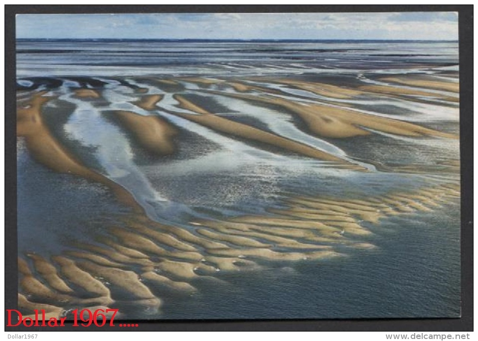 Megaribbels Op Het Wad  /Mega Ripples On The Mudflats  - Not Used   ( Scans  For Condition. ( Originalscan ! - Autres & Non Classés