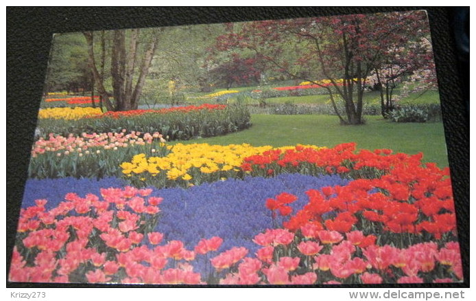 Netherlands Lisse Keukenhof 9003 - Unused - Lisse