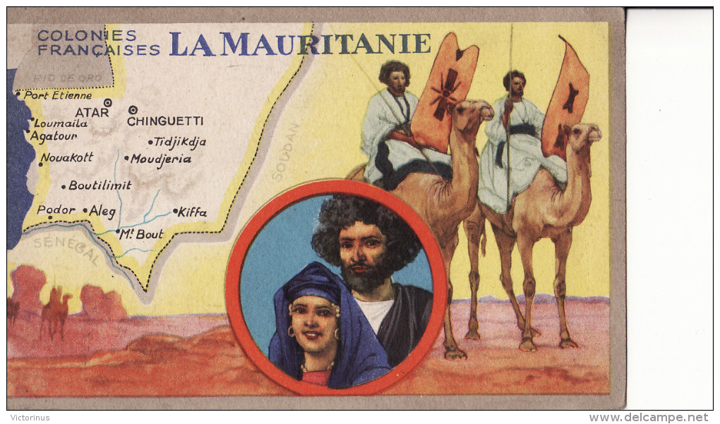 LA MAURITANIE  -  ( Colonies Françaises  )   Carte Publicitaire PRODUITS DU LION NOIR - Mauretanien