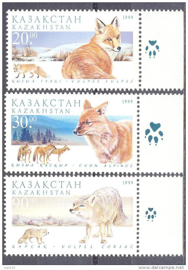 1999.Kazakhstan,  Fauna Of Kazakhstan, Fox, Wolf, Karsak, 3v, Mint/** - Kazakistan