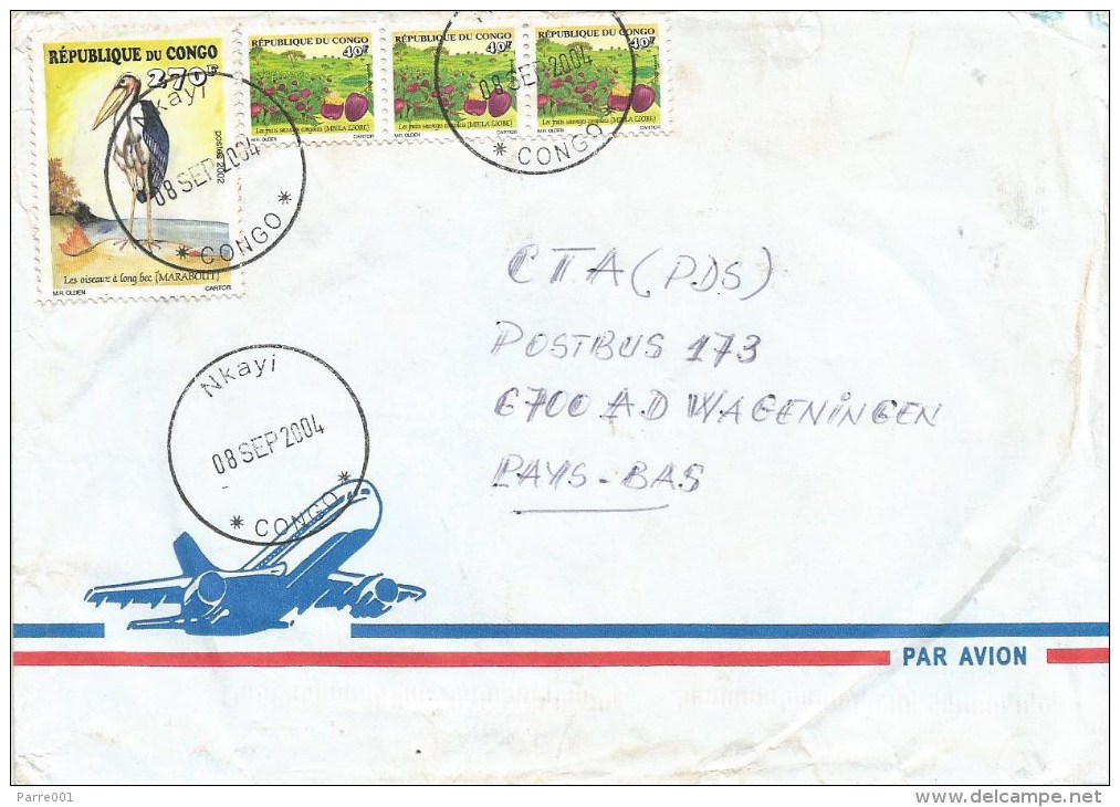 Congo 2004 Nkayi Marabou Stork Leptoptilos Crumeniferus Michel 1756 Fruit Anisophyllea Quangensis Cover - Cigognes & échassiers