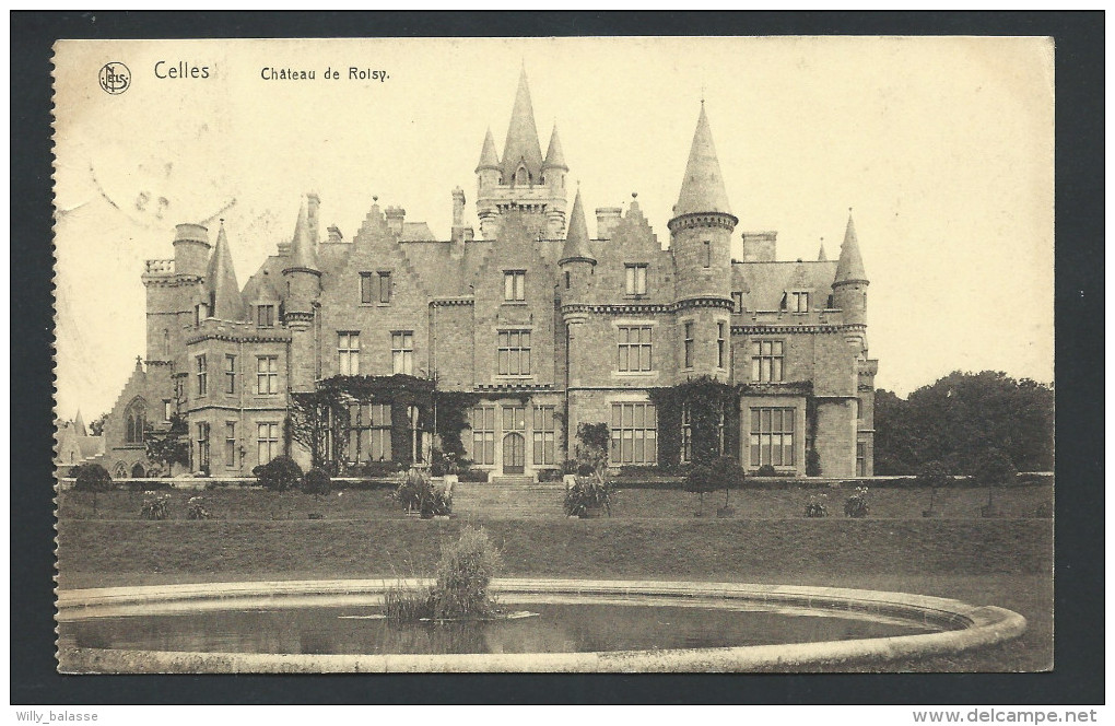 CPA - CELLES - Château De ROISY - Nels  // - Celles