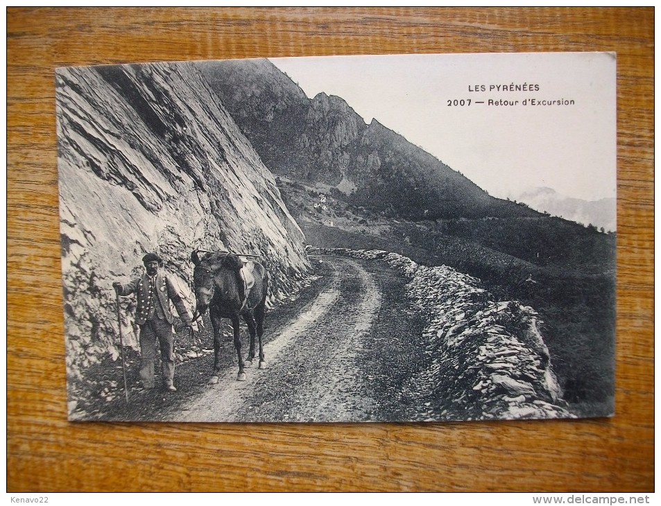 Les Pyrénées Retour D'excursion "" Carte Animée "" - Autres & Non Classés