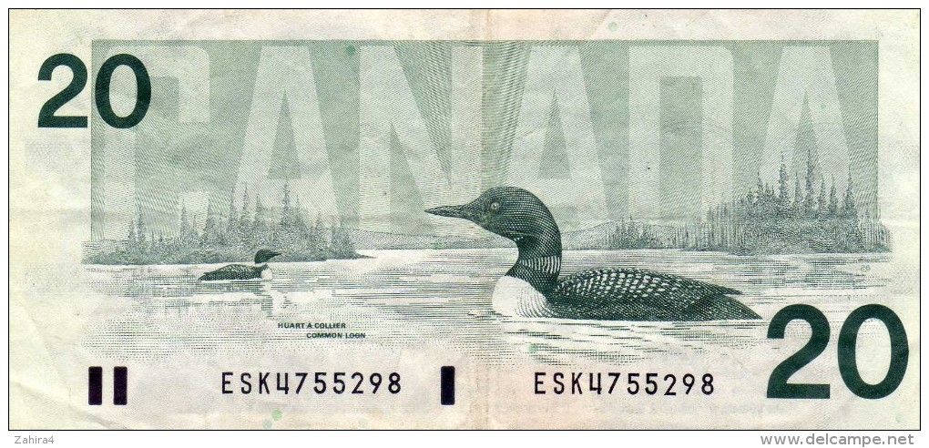 Bank Of Canada - 20 - Vingt Dollars Txenty - Ottawa 1991 - Huart à Collier - Common Loon - Canada