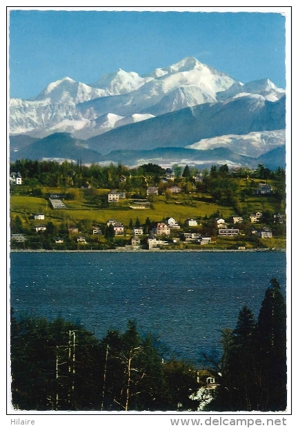 Cpsm Suisse Switzerland GENEVE Mont Blanc Coteau De Cologny 1969 - Cologny