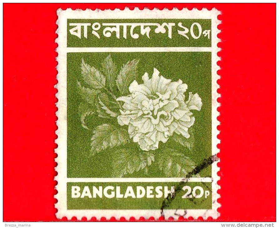 BANGLADESH - Usato - 1973 - Fiori - Hibiscus Flower - 20 - Bangladesh