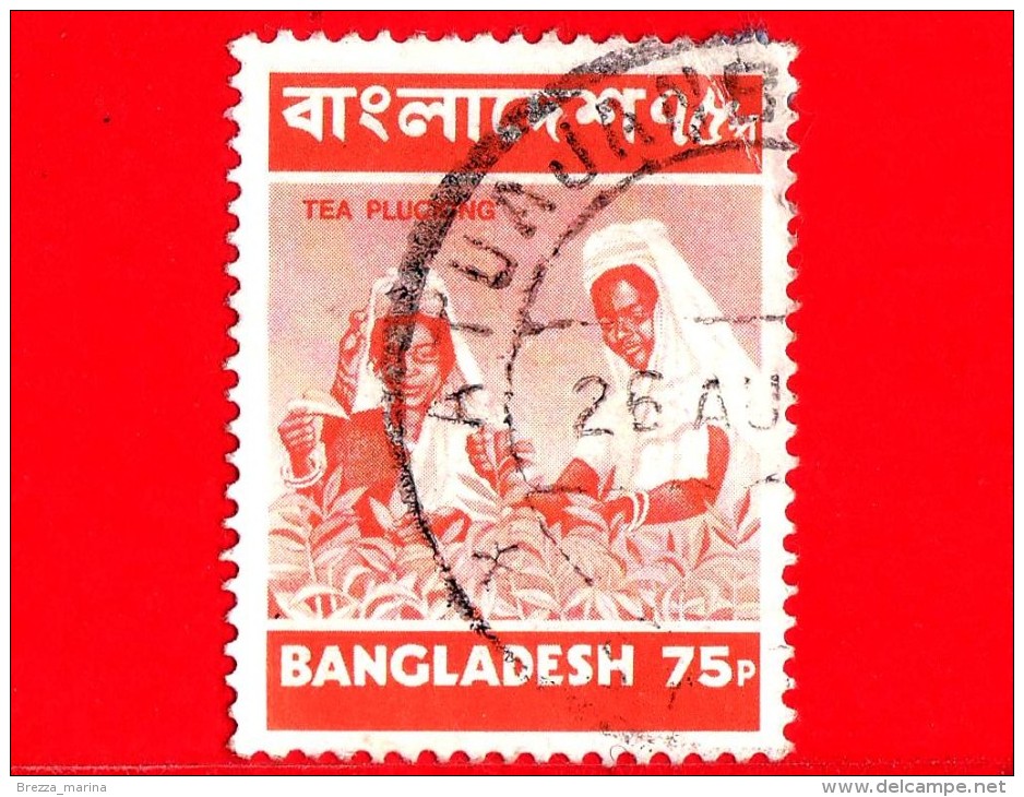 BANGLADESH - Usato - 1973 - Agricoltura - Raccolti - Tè - Tea Picking - 75 - Bangladesh