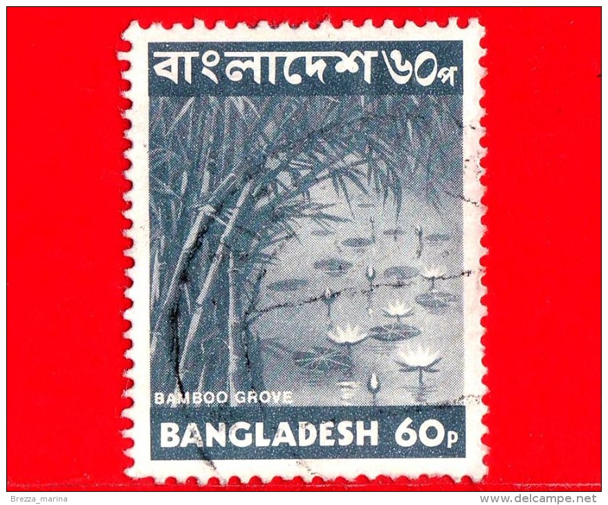BANGLADESH - Usato - 1973 - Fiori  Piante - Bamboo Grove - Waterlilies - 60 - Bangladesh