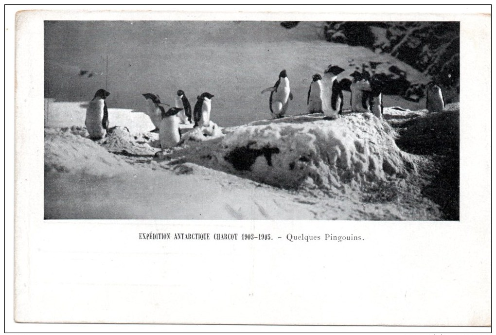 CPA POLAIRE ANTARCTIQUE Charcot - TAAF : Franse Zuidpoolgewesten