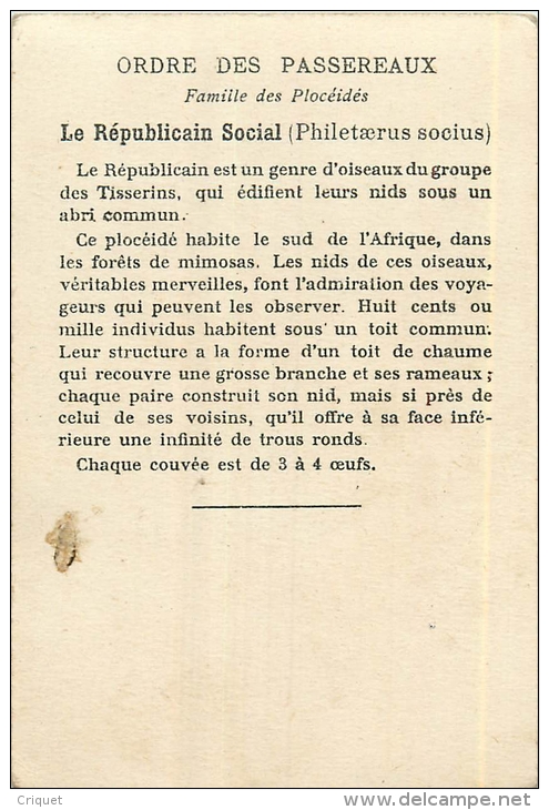 Chromo Oeufs Et Nids, Le Républicain, Descriptif Au Verso - Autres & Non Classés