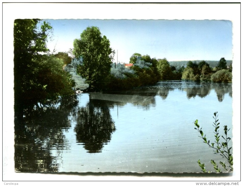 CP - CERILLY (03) L ETANG DE SALOUP - Autres & Non Classés