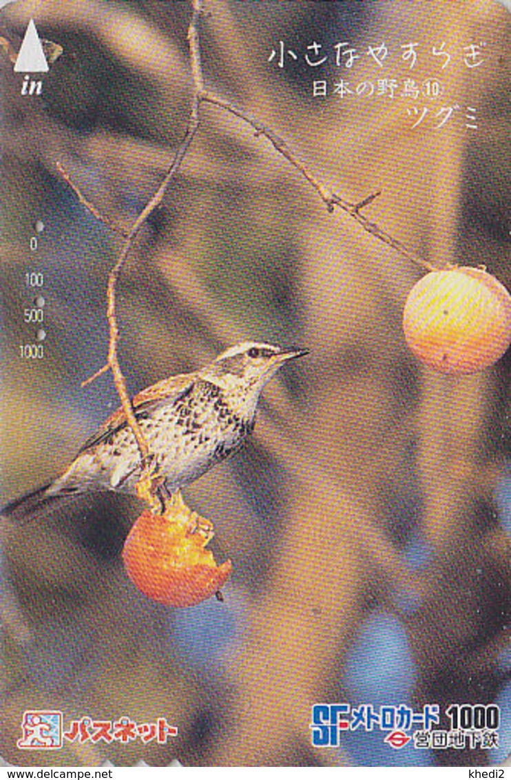 Carte Prépayée JAPON - Série OISEAUX 10/16 - OISEAU - GRIVE & Fruit KAKI - BIRD JAPAN Prepaid Metro Card - VOGEL - 4161 - Sperlingsvögel & Singvögel