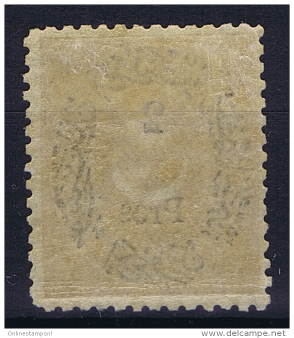 Turkey: Mi Nr 25 Isfla 94 , 1876 MH/* - Unused Stamps