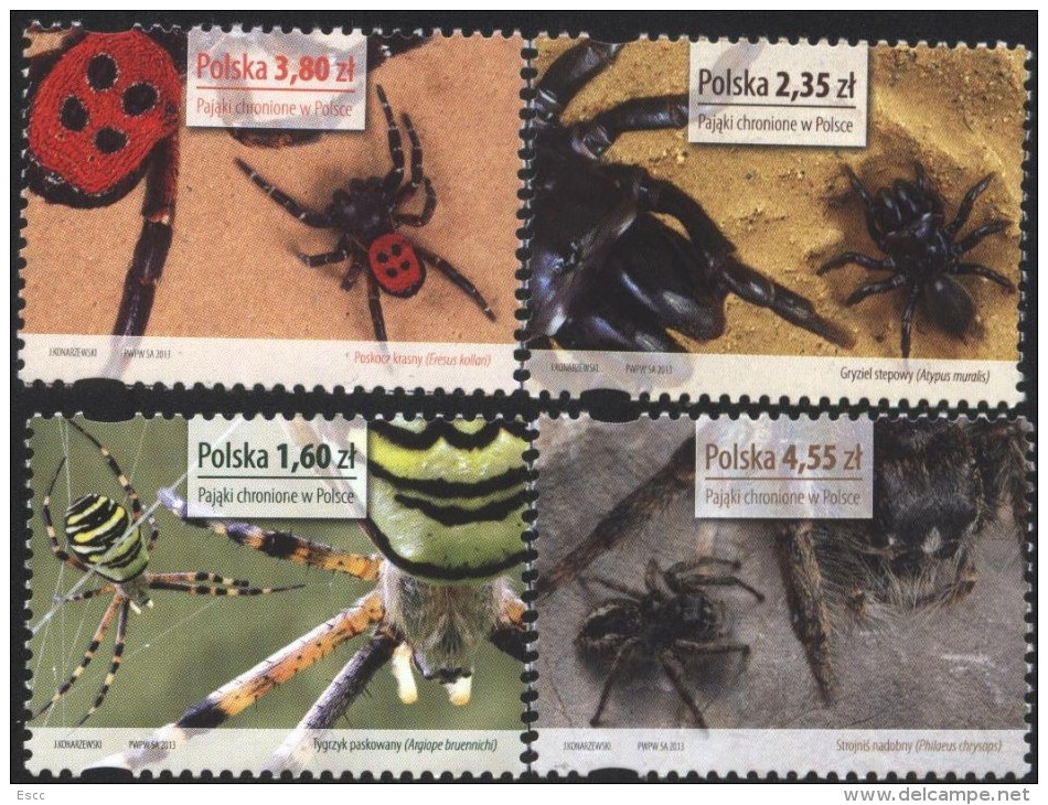 Mint Stamps  Fauna Spiders 2013  From Poland - Spinnen