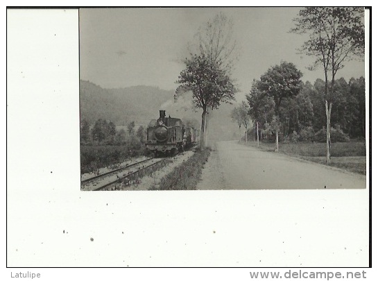 Photo Du Train - Animé Conducteur_Faisant La Ligne De La Vallée De Celles - Altri & Non Classificati