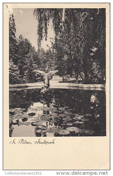 36182- ST POLTEN- THE PARK, POND, WATER LILIES - St. Pölten