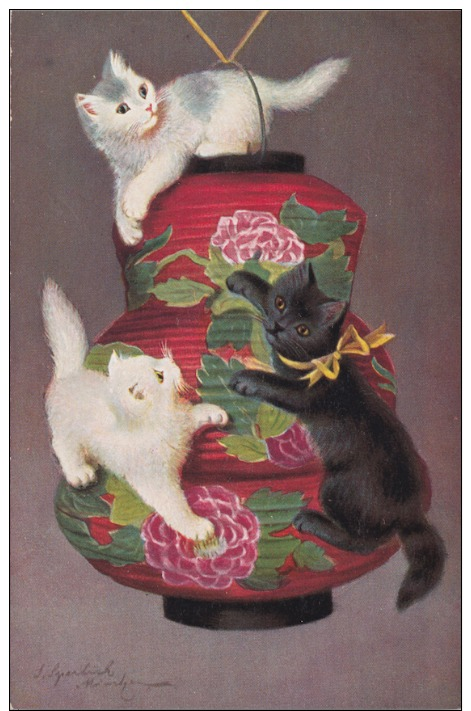 ILLUSTRATEUR SPERLICH CHAT CHATS SUR UN LAMPION, CAT CATS, KATZE, KATZEN VINTAGE CARD 1910 SIGNED BY ARTIST, SIGNEE - Cats