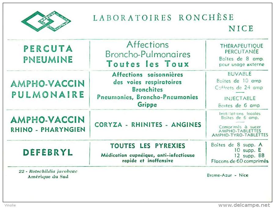 B16-0346  : PAPILLON  ROTSCHILDIA JACOBEAE AMERIQUE DU SUD - Papillons