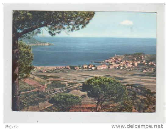 Isola D'elba Marina  Di Campo Livorno - Altri & Non Classificati