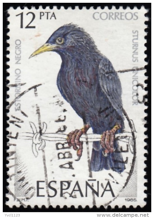 SPAIN - Scott #2460 Sturnus Unicolor / Used Stamp - Oblitérés