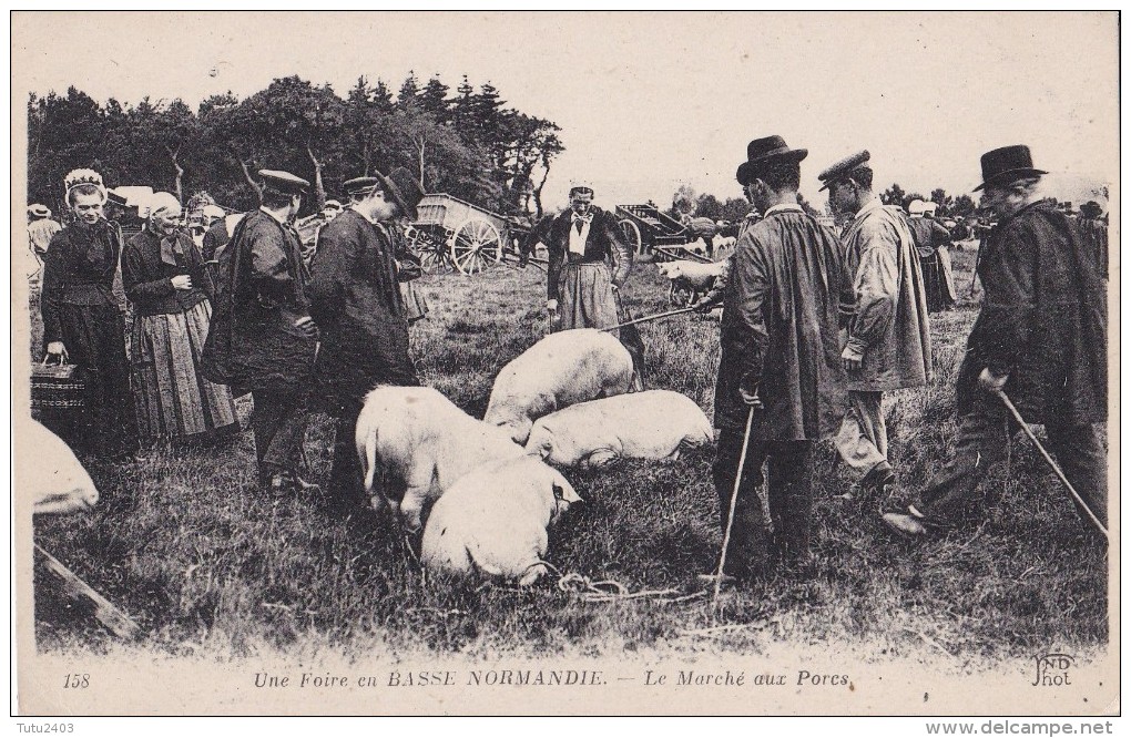 158 UNE FOIRE EN BASSE NORMANDIE                         Le Marche Aux Porcs - Kermissen