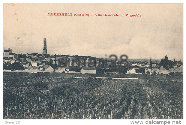 MEURSAULT - VUE GENERALE ET VIGNOBLE - Meursault