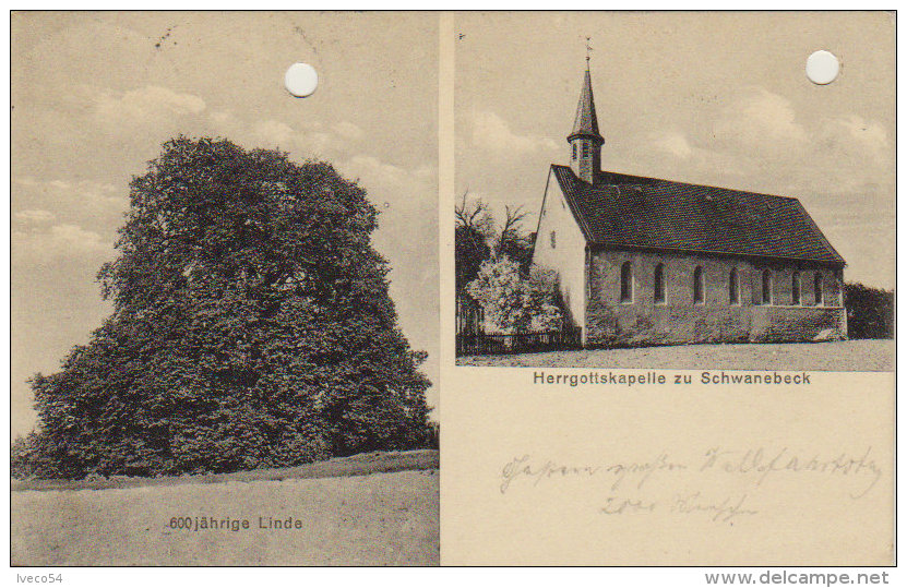1925    Schwanebeck   -  Herrgottskapelle -  600jährigeLinde - Unterharz