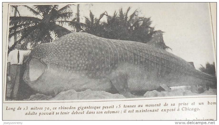 Journal Des Voyages. Le Rhinodon Typicus. Caucase. Géorgie. Les Peaux Rouges. 2 Août 1914. - Autres & Non Classés