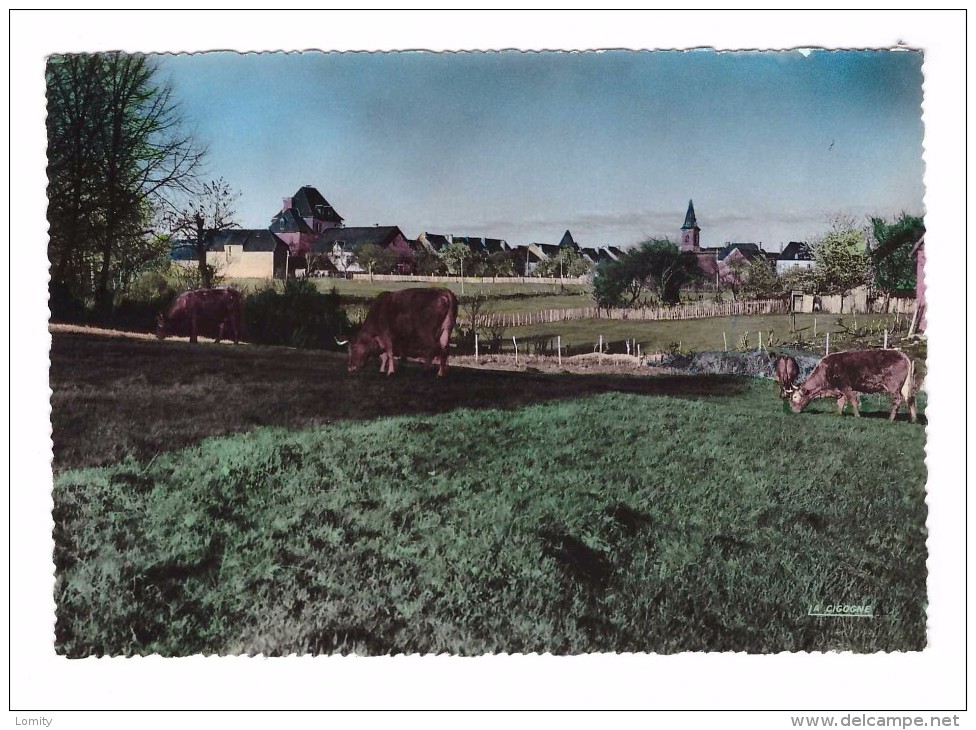 19 Lapleau Vue Générale Edit La Cigogne N° 19.106.05 Carte Non Voyagée - Autres & Non Classés