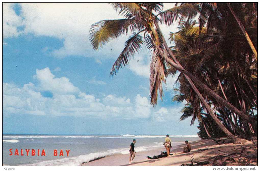 TRINIDAD (Kleine Antillen) - Salybia Bay, Gel.1962, Kleinformat, Abgelöste Marke - Trinidad