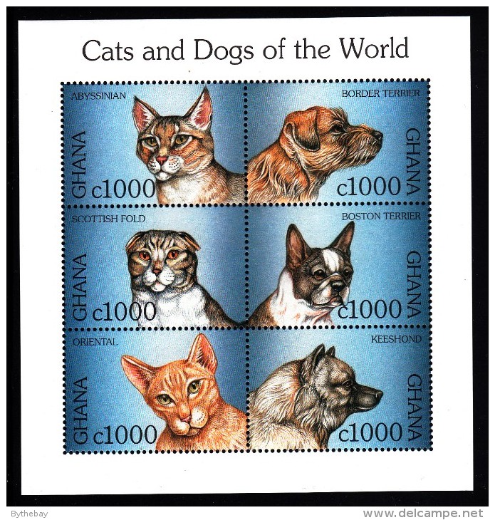 Ghana MNH Scott #1991 Souvenir Sheet Of 6 1000ce Cats And Dogs: Abyssinian, Scottish Fold, Oriental, Terriers, Keeshond - Ghana (1957-...)