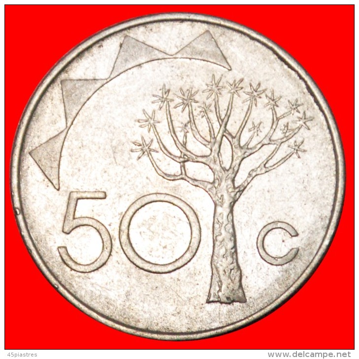 &#9733;TREE: NAMIBIA &#9733; 50 CENTS 1993! LOW START&#9733; NO RESERVE! - Namibia