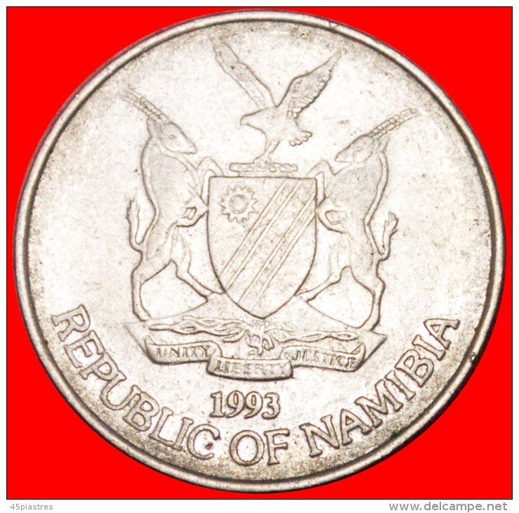 &#9733;TREE: NAMIBIA &#9733; 50 CENTS 1993! LOW START&#9733; NO RESERVE! - Namibie