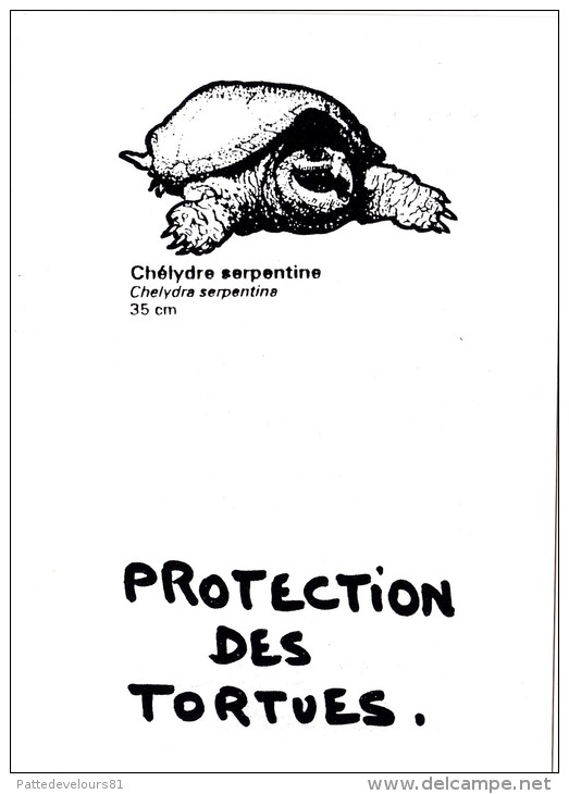 CPM Protection Des Tortues Chélydre Serpentine Turtle Tortoise Protection Animale Animal Welfare - Schildkröten