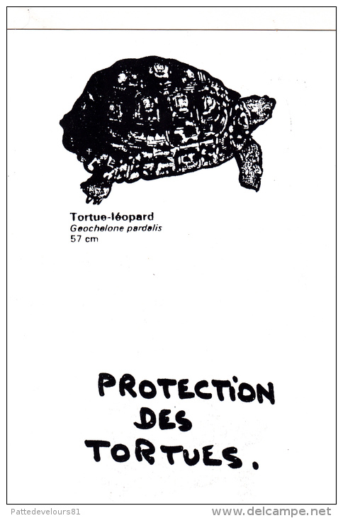 CPM Protection Des Tortues Tortue-Léopard Turtle Tortoise Protection Animale Animal Welfare - Turtles