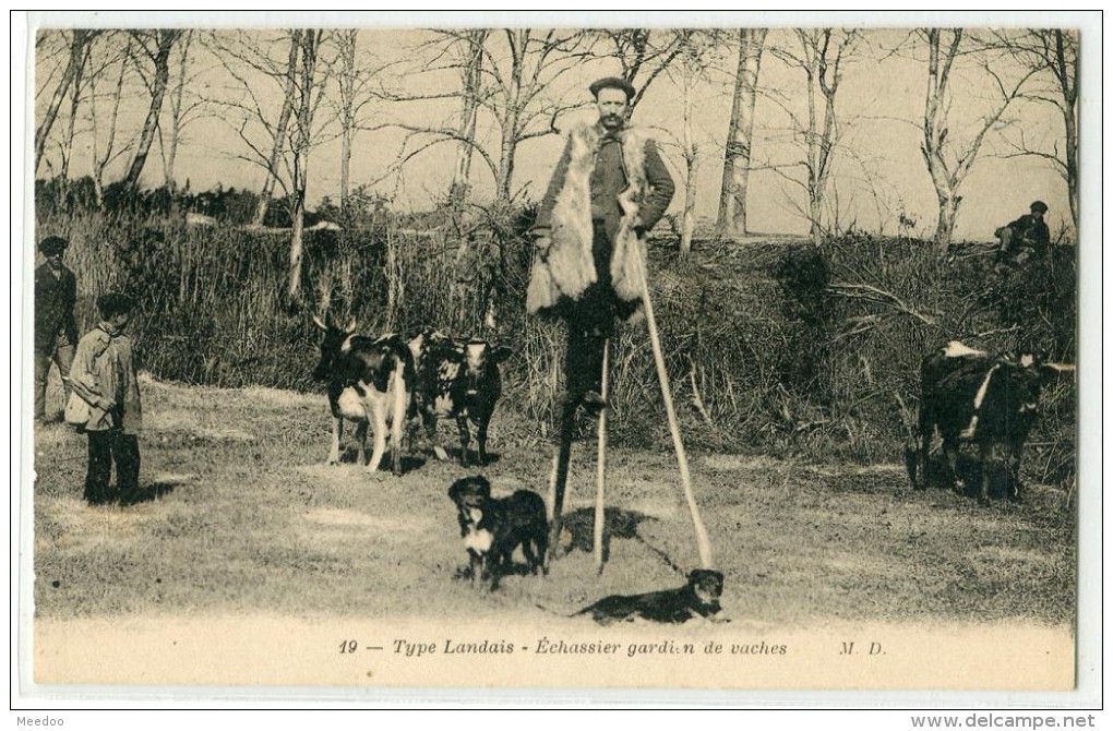 Type Landais MD 19 Echassier Gardien De Vaches (Sylvain DORNON) - Other & Unclassified