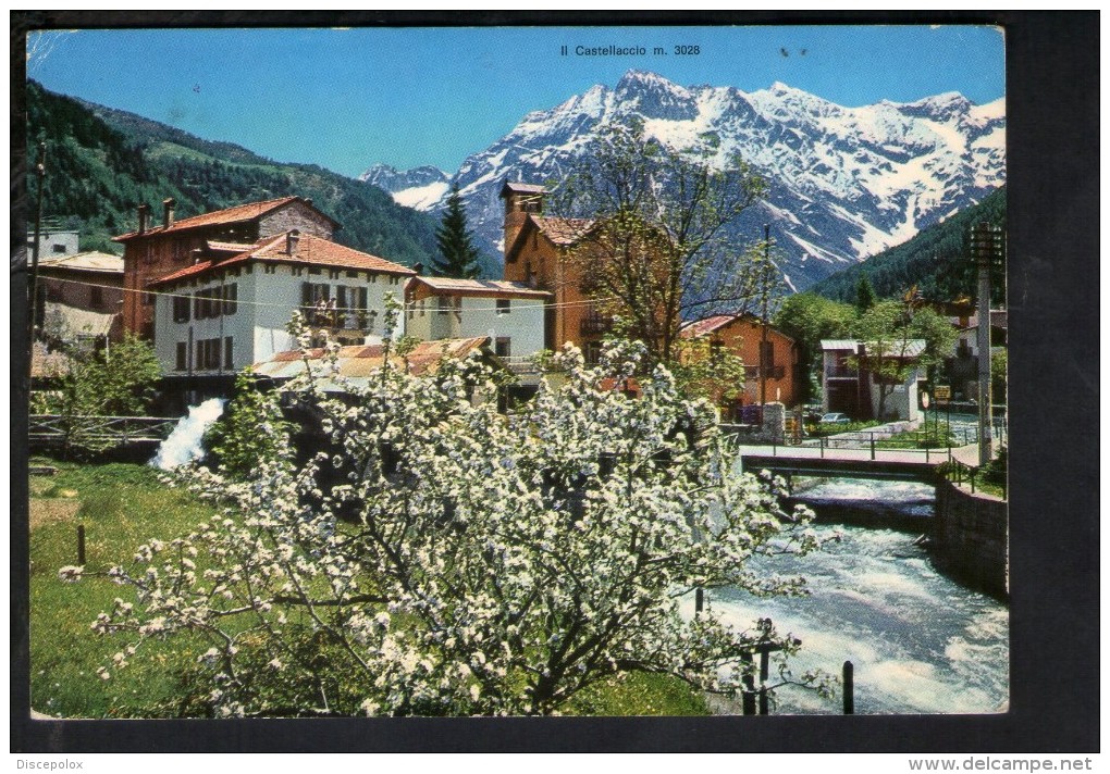 P4406 PONTE DI LEGNO ( Prov. Di Brescia, BS ) Panorama Con Albero Fiorito E Montagne Innevate - Lombardia, Italia - Altri & Non Classificati